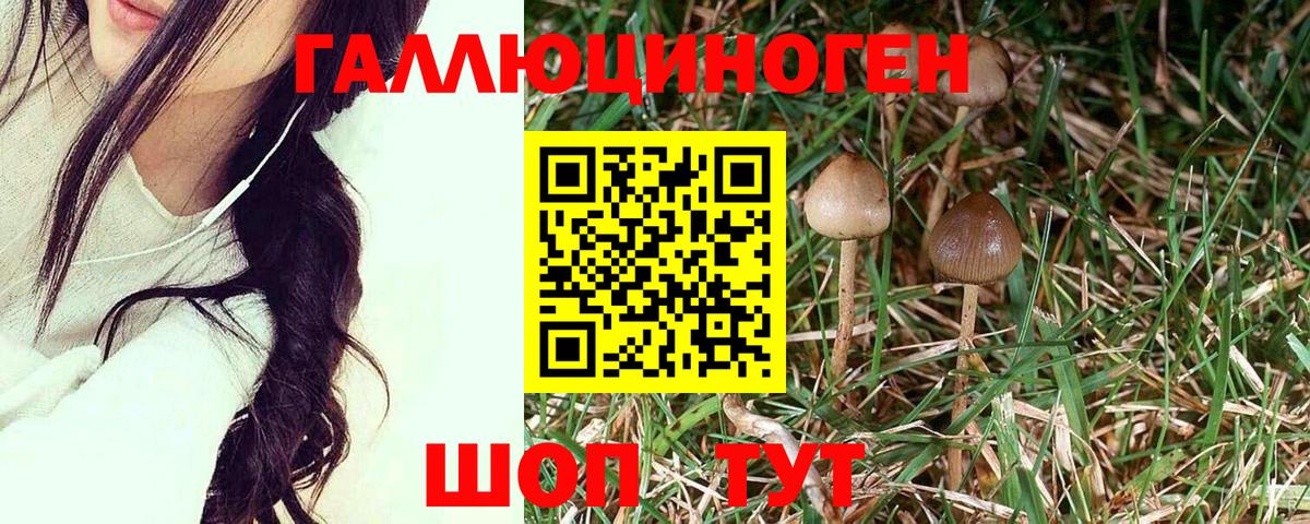 ГАШИШ  Cocaine  АМФЕТАМИН   Меф МЯУ МЯУ   Вход с VPN  ГАШ  Каннабис  A-PVP СОЛЬ кристаллы  Cocaine  Острогожск  Где купить 