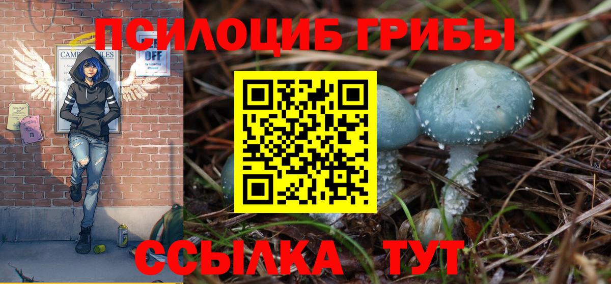 Галлюциногенные грибы Magic Shrooms  Вход с VPN  Острогожск 