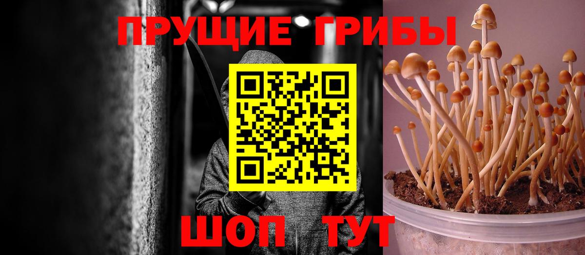 Галлюциногенные грибы ЛСД Острогожск